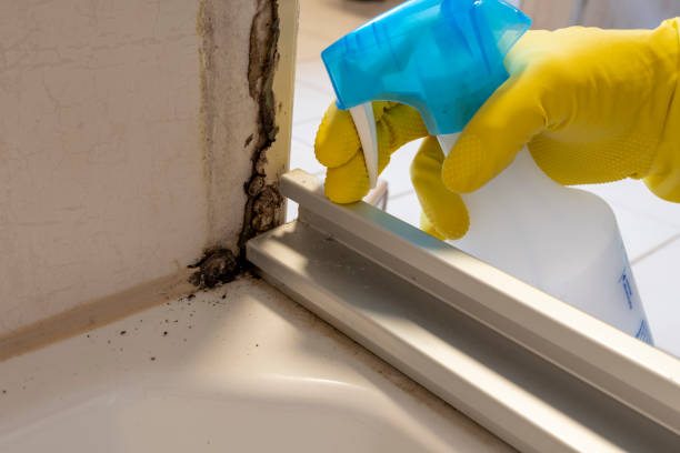 Leonardo, NJ Mold Remediation Company